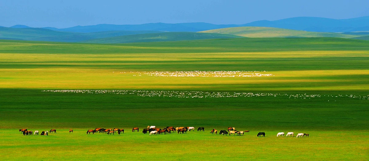 The Eight Great Grasslands Of Hulunbuir Hidden In Guangdong_01